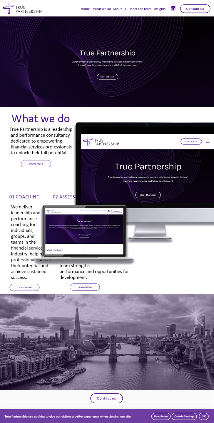True Partnership case study cover image